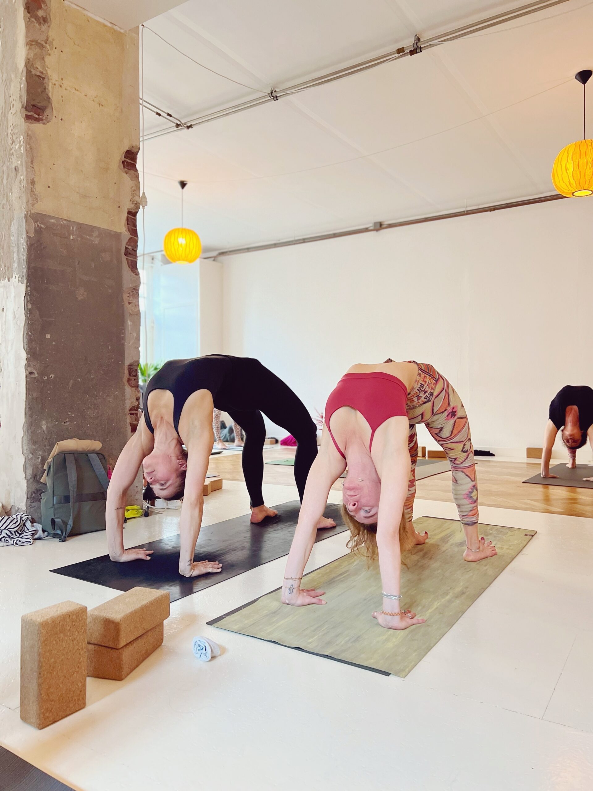 200-hour Part Time Vinyasa & Yin Yoga Teacher Training with Iris